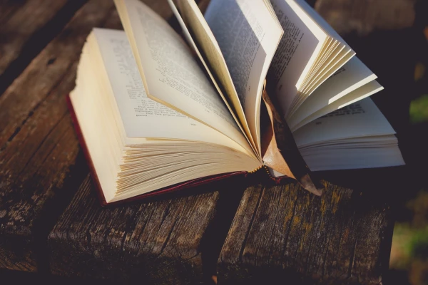 Dicas livros desenvolvimento pessoal