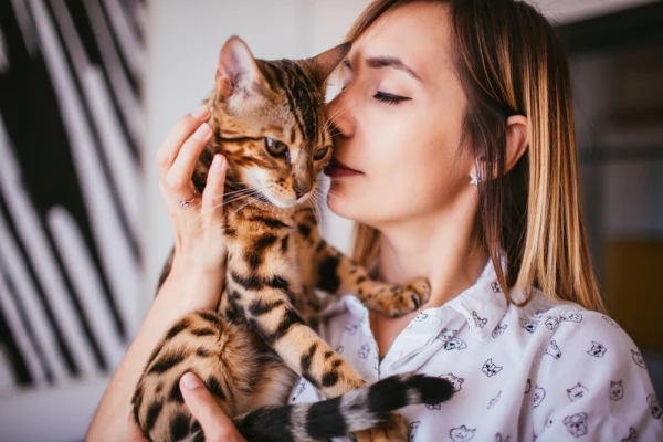 Felinos curiosidades gatos