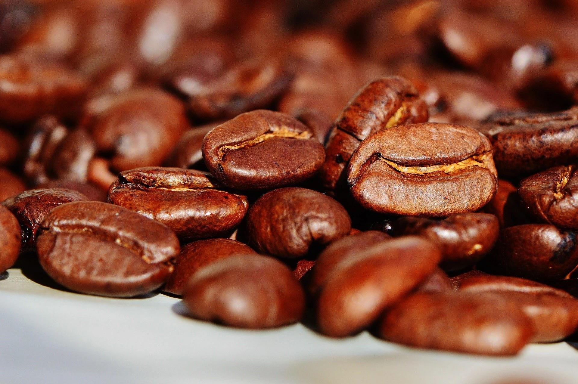 Aprenda degustar cafe