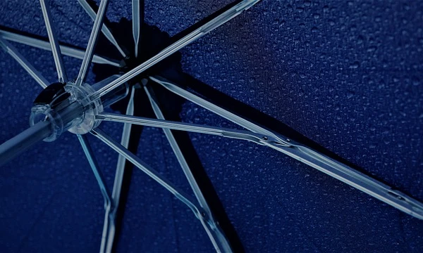 Umbrella g06096a60b 640