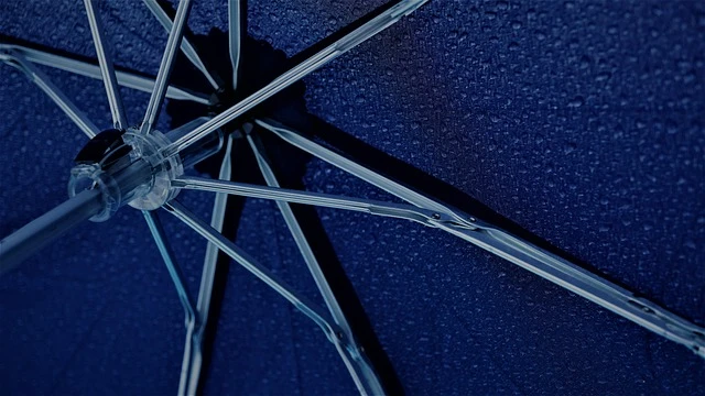 Umbrella g06096a60b 640