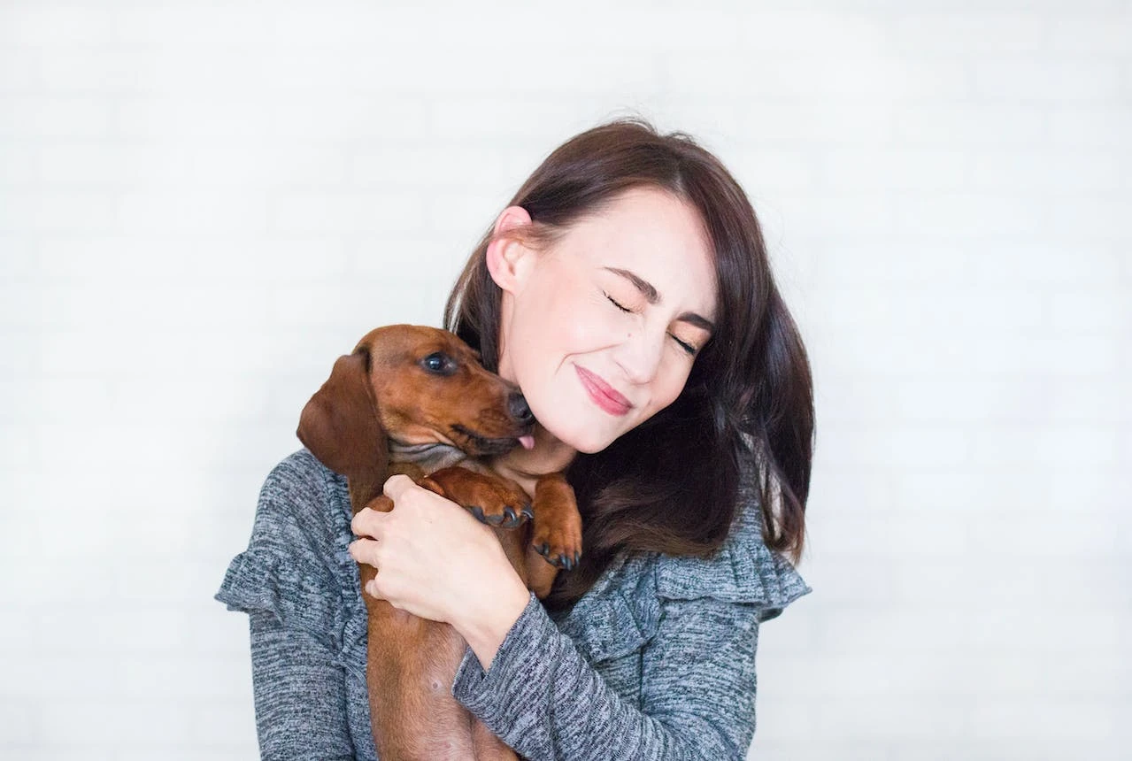 Os principais mitos sobre a criacao de animais de estimacao