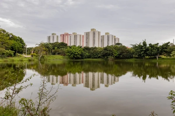 entupimentos em Curitiba