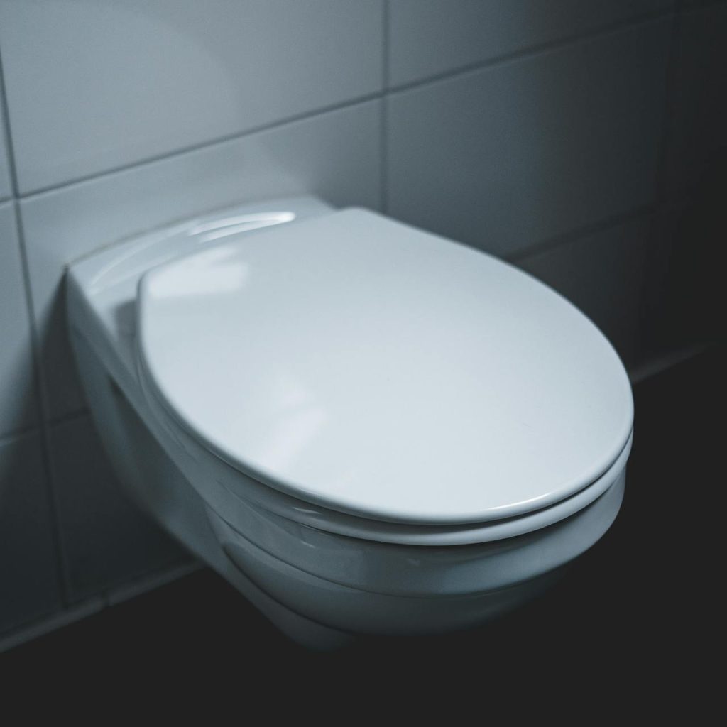 Os benefícios de um vaso sanitário bem mantido