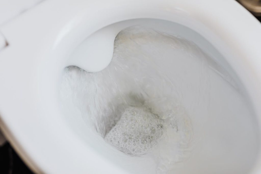 desentupir o vaso sanitário