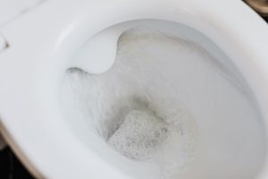 desentupir o vaso sanitário