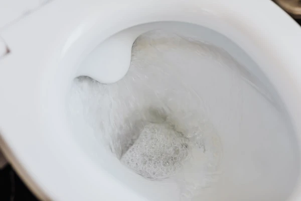 desentupir o vaso sanitário