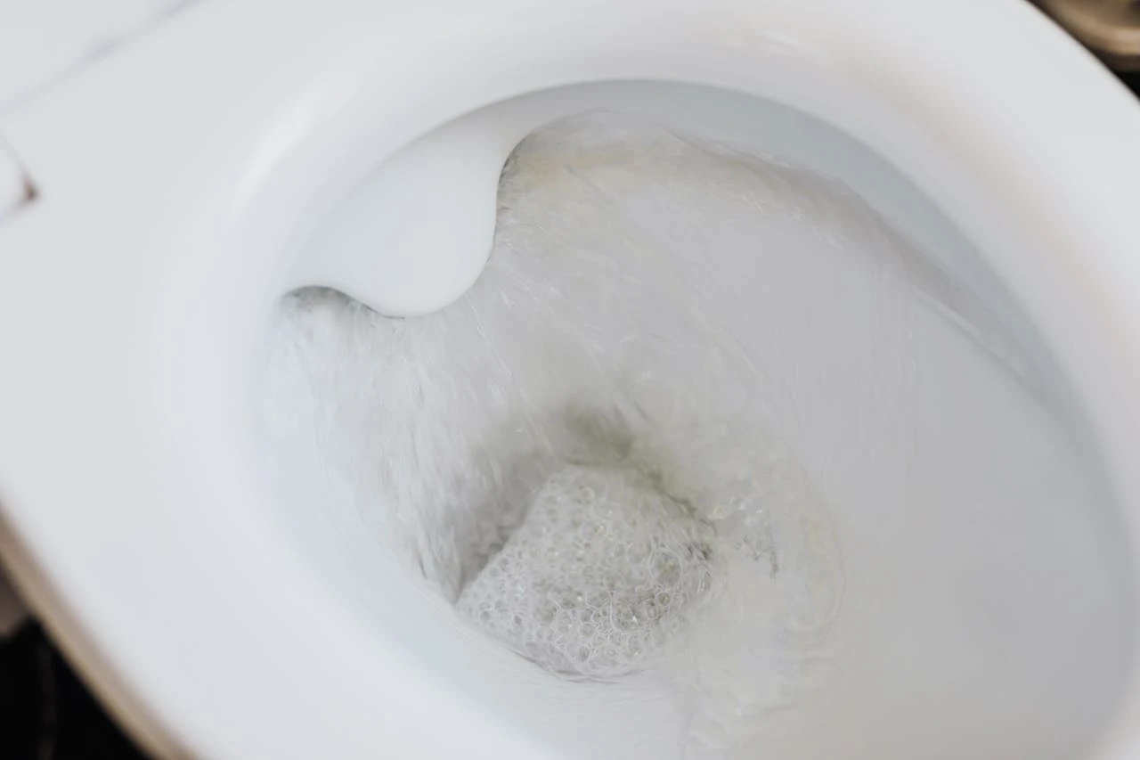 desentupir o vaso sanitário