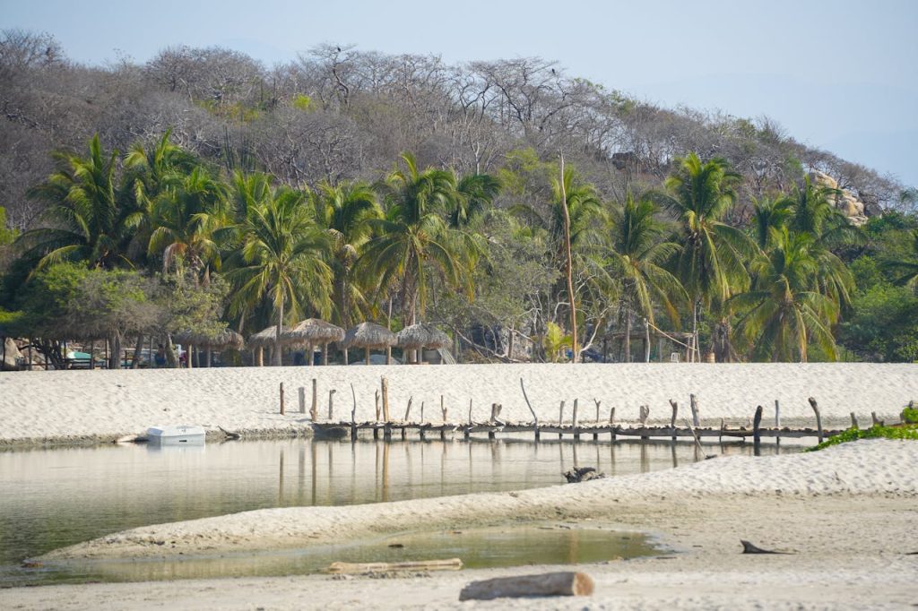 pexels-makai-castle-3851938-23643831